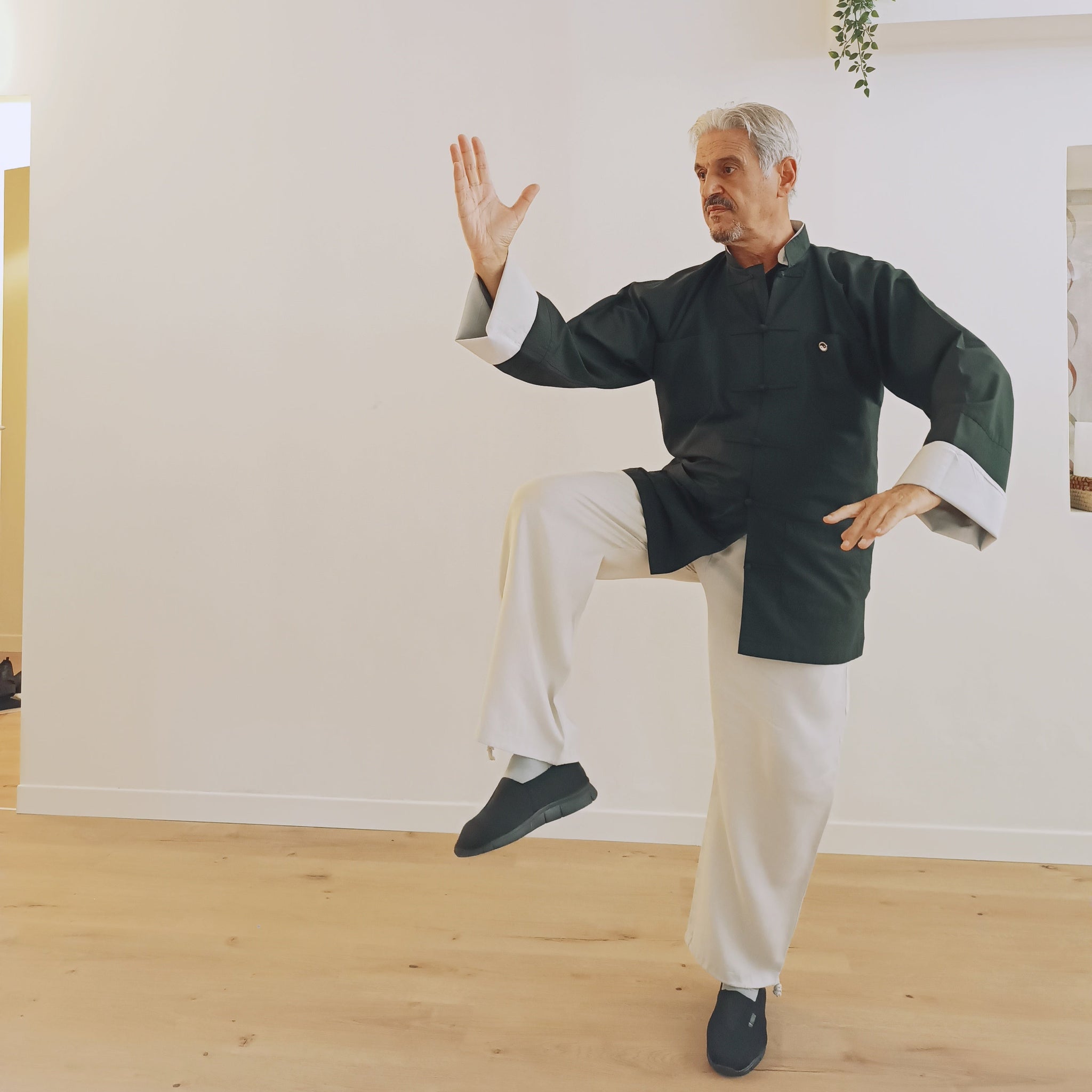08 Ottobre - 13:00 - Qi Gong - Spazio Arti Naturali
